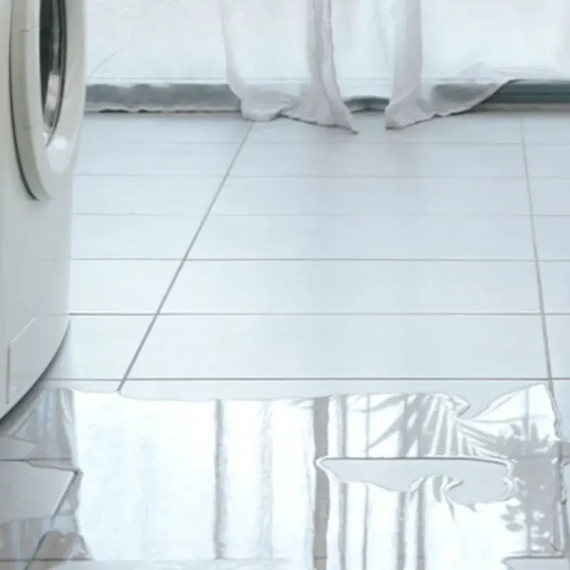 Appliance Leak Cleanup in Clinton, IA