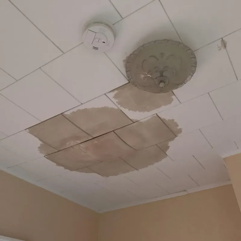 Ceiling Water Damage Repair in Clinton, IA