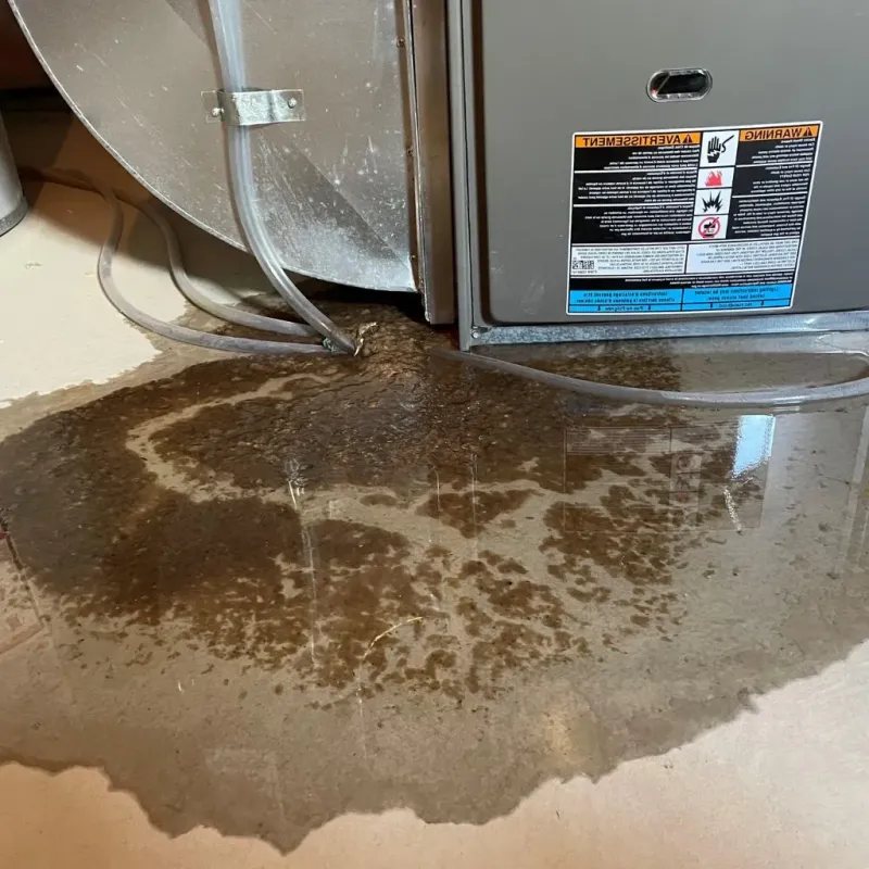 Pipe Burst and Leak Restoration in Clinton, IA