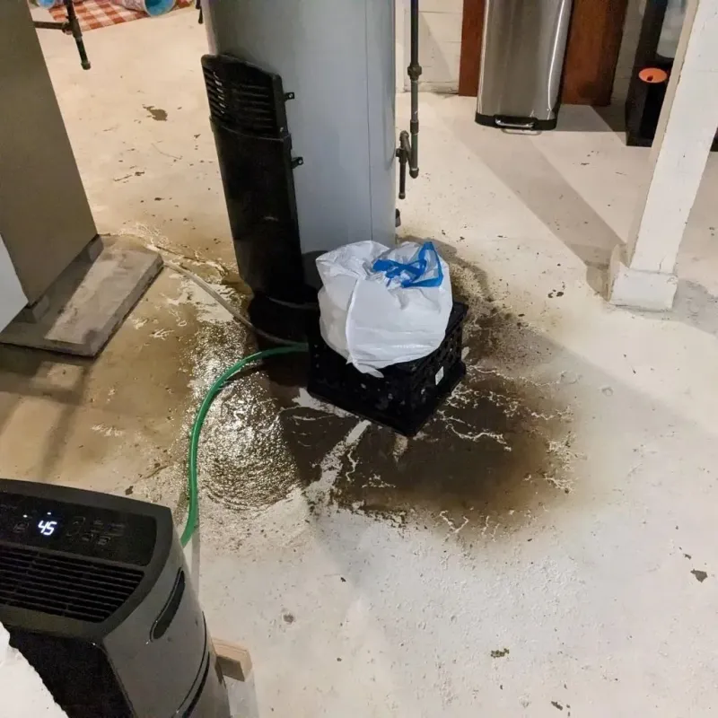 Sewage Backup Cleanup Service in Clinton, IA